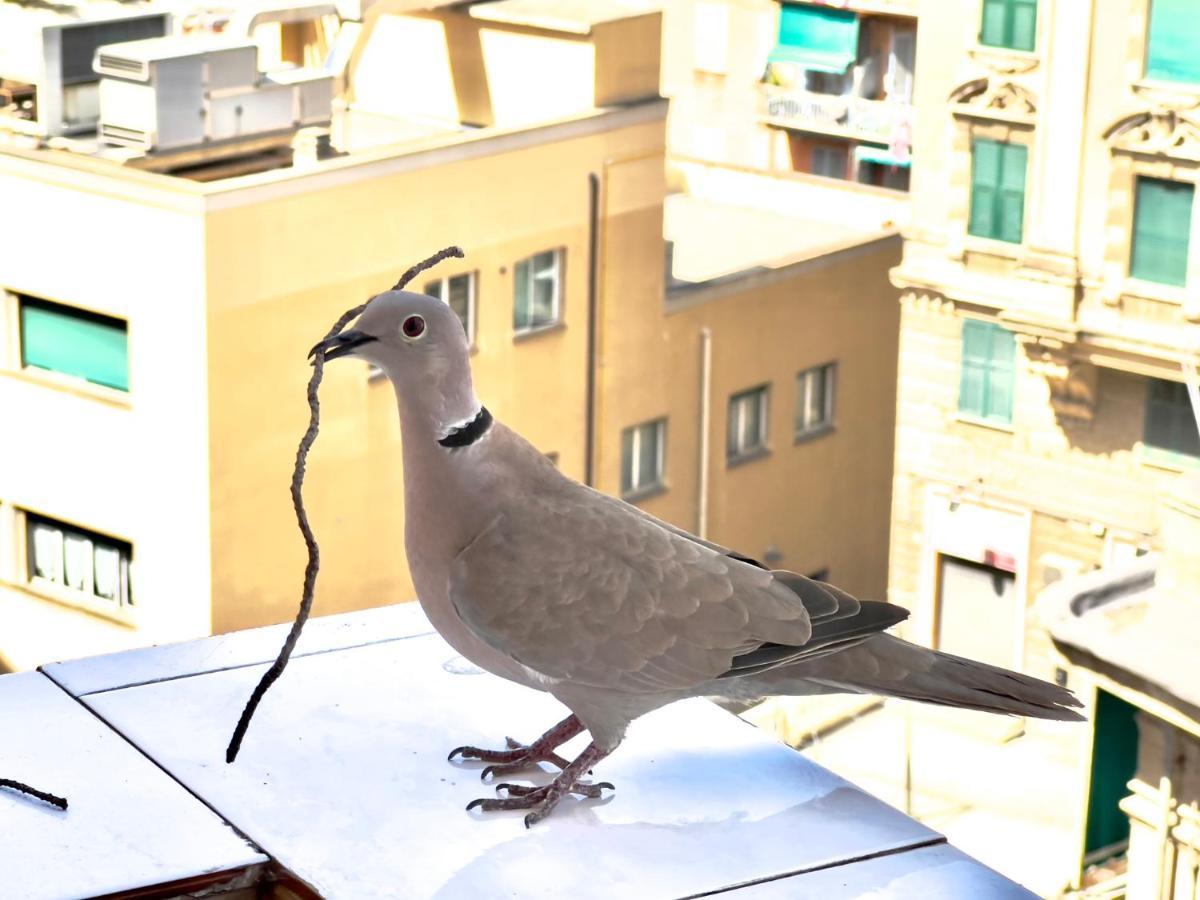 Home Sweet Home Nel Cuore Di Genova 外观 照片